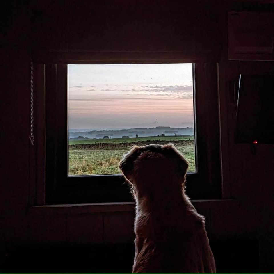 Luxury Shepherd Hut In The Peak District Bakewell Exterior foto